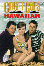 Watch Gidget Goes Hawaiian Zmovie