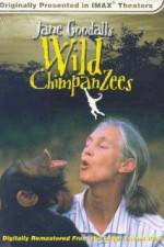 Watch Jane Goodall's Wild Chimpanzees Zmovie