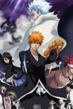 Watch Bleach: The Diamond Dust Rebellion Zmovie