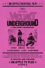 Watch The Velvet Underground Zmovie