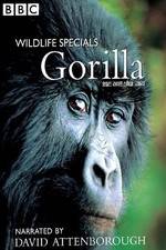 Watch Gorilla Revisited with David Attenborough Zmovie