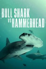Watch Bull Shark vs Hammerhead Zmovie