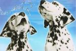 Watch 101 Dalmatians Sing Along Zmovie