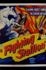 Watch The Fighting Stallion Zmovie