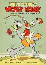 Watch Donald\'s Ostrich (Short 1937) Zmovie
