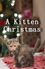 Watch A Kitten Christmas Zmovie