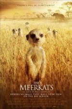 Watch The Meerkats Zmovie