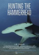 Watch Hunting the Hammerhead Zmovie