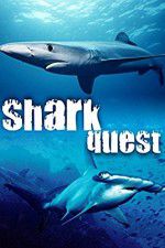 Watch Shark Quest Zmovie