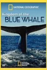 Watch National Geographic Kingdom of Blue Whale Zmovie