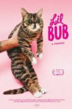 Watch Lil Bub & Friendz Zmovie