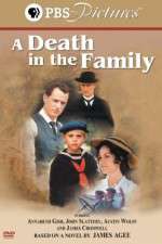 Watch A Death in the Family Zmovie
