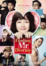 Watch Finding Mr. Destiny Zmovie