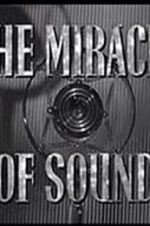 Watch The Miracle of Sound Zmovie