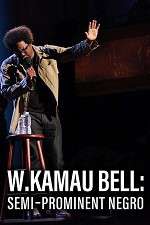 Watch W. Kamau Bell: Semi-Promenint Negro Zmovie
