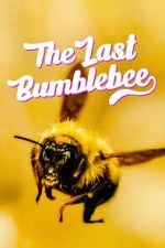 Watch The Last Bumblebee Zmovie