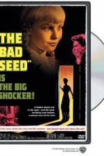 Watch The Bad Seed Zmovie