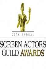 Watch The 20th Annual Screen Actors Guild Awards Zmovie