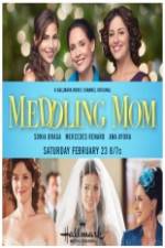 Watch Meddling Mom Zmovie