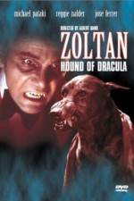 Watch Dracula's Dog Zmovie