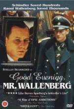 Watch Good Evening, Mr. Wallenberg Zmovie