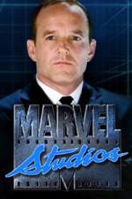 Watch Marvel One-Shot The Consultant Zmovie