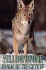 Watch Yellowstone: Realm of the Coyote Zmovie