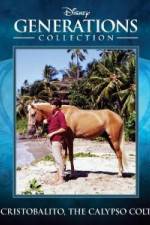 Watch Cristobalito the Calypso Colt Zmovie