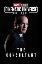 Watch Marvel One-Shot: The Consultant Zmovie