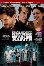 Watch A Guide to Recognizing Your Saints Zmovie