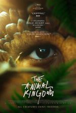 Watch The Animal Kingdom Zmovie