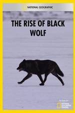 Watch The Rise of Black Wolf Zmovie