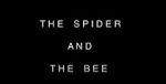 Watch The Spider and the Bee Zmovie