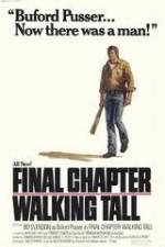 Watch Final Chapter Walking Tall Zmovie