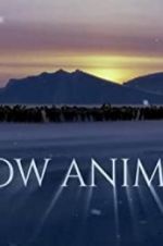 Watch Snow Animals Zmovie