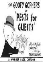 Watch Pests for Guests (Short 1955) Zmovie