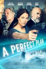 Watch A Perfect Plan Zmovie