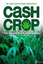 Watch Cash Crop Zmovie