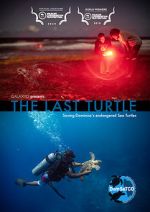Watch The Last Turtle (Short 2019) Zmovie
