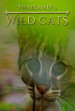 Watch Thailand's Wild Cats Zmovie
