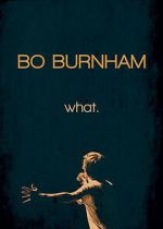 Watch Bo Burnham: what. (TV Special 2013) Zmovie