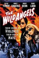 Watch The Wild Angels Zmovie