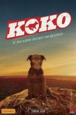 Watch Koko: A Red Dog Story Zmovie