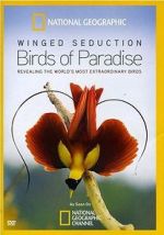 Watch Winged Seduction: Birds of Paradise Zmovie