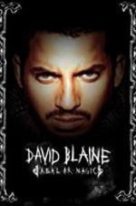 Watch David Blaine: Real or Magic Zmovie