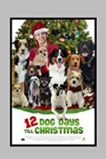 Watch 12 Dog Days Till Christmas Zmovie