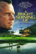 Watch A Bright Shining Lie Zmovie