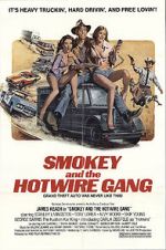 Watch Smokey and the Hotwire Gang Zmovie