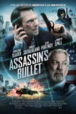 Watch Assassin's Bullet Zmovie