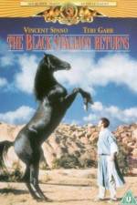 Watch The Black Stallion Returns Zmovie